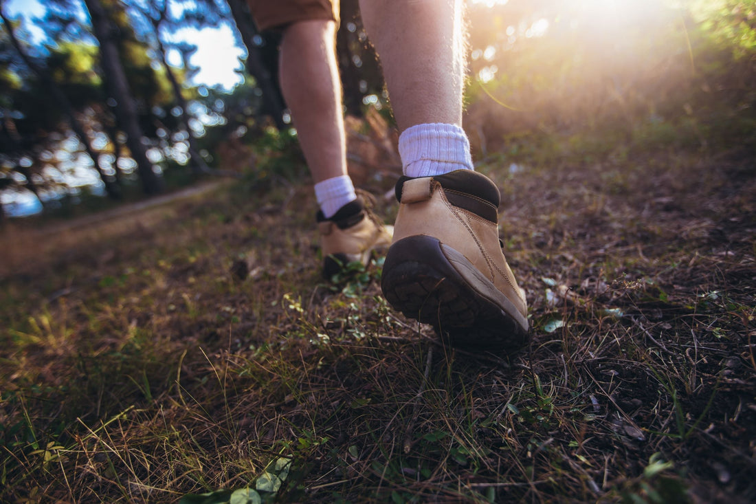 Heel Blisters while Hiking | Protalus