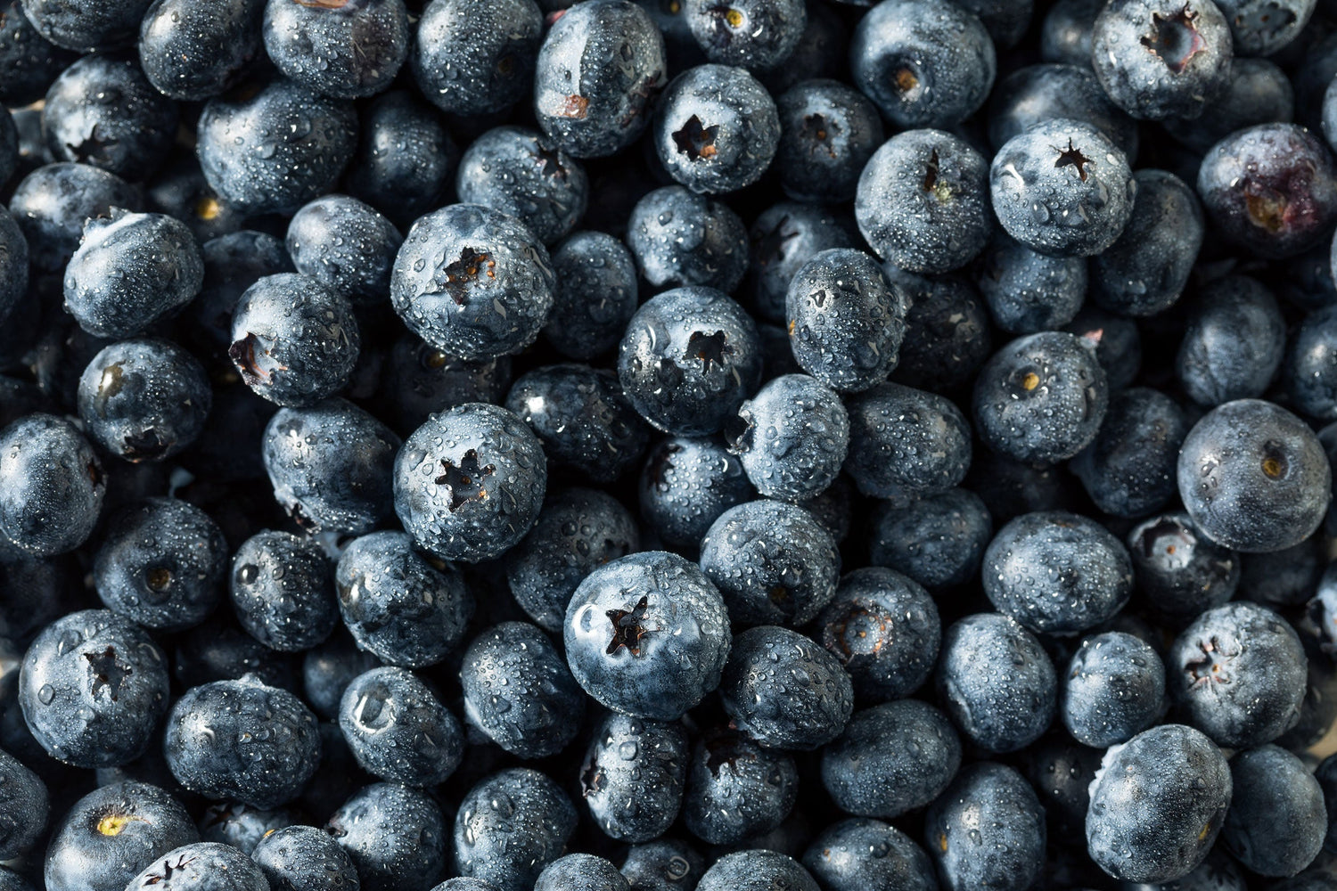What Are Antioxidants?