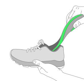 Install Protalus Insole